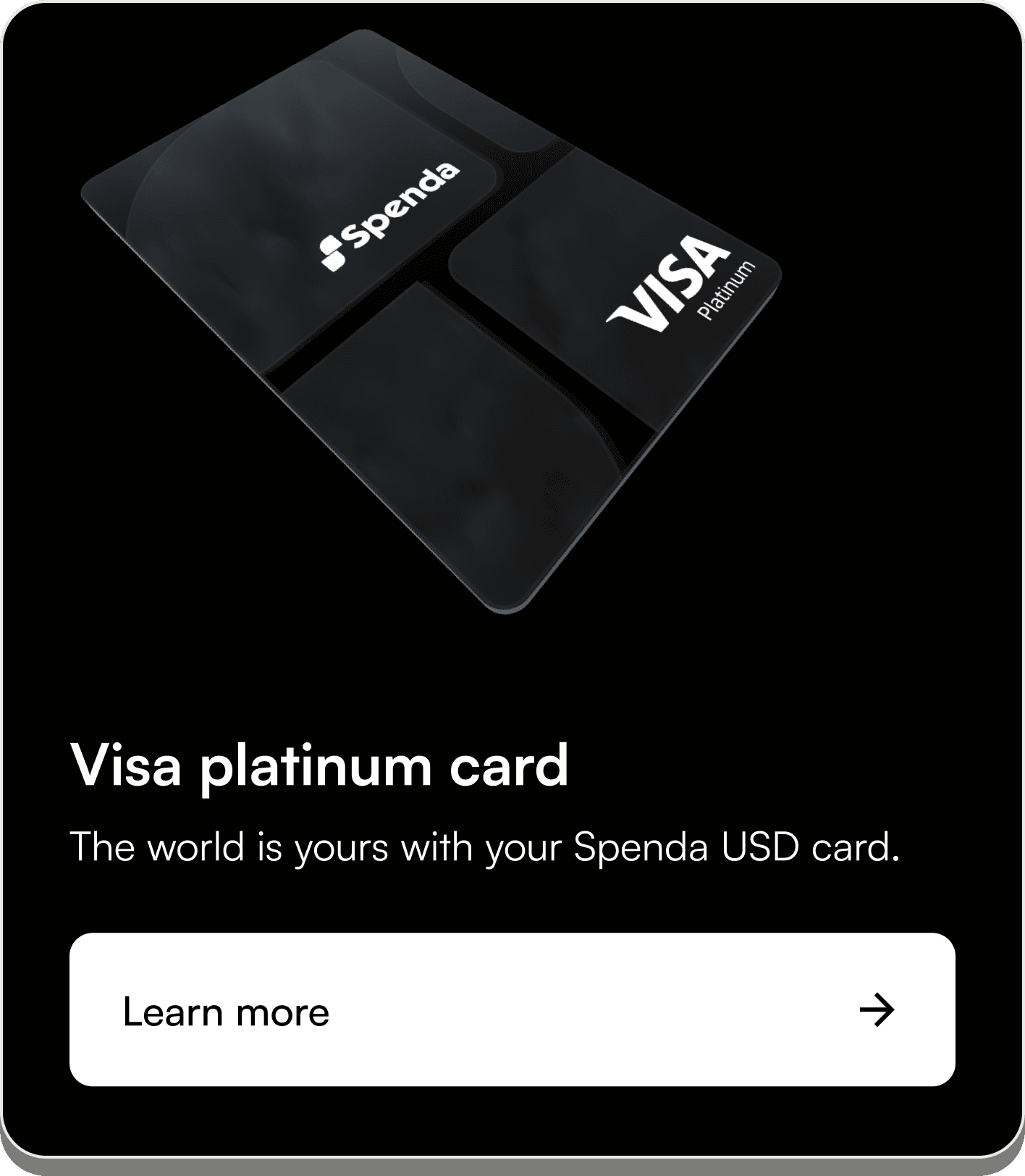 Visa platinum card