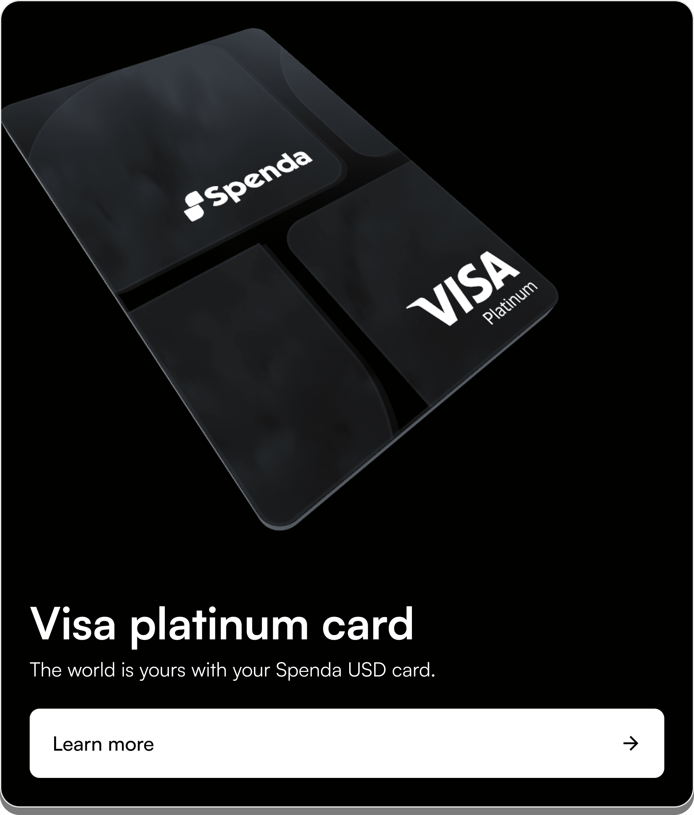 Visa platinum card
